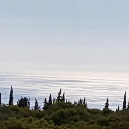 Alexia Ferentinou * Φισκάρδο