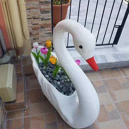Apartmán Alexia Ferentinou